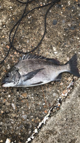 ご近所釣り太郎