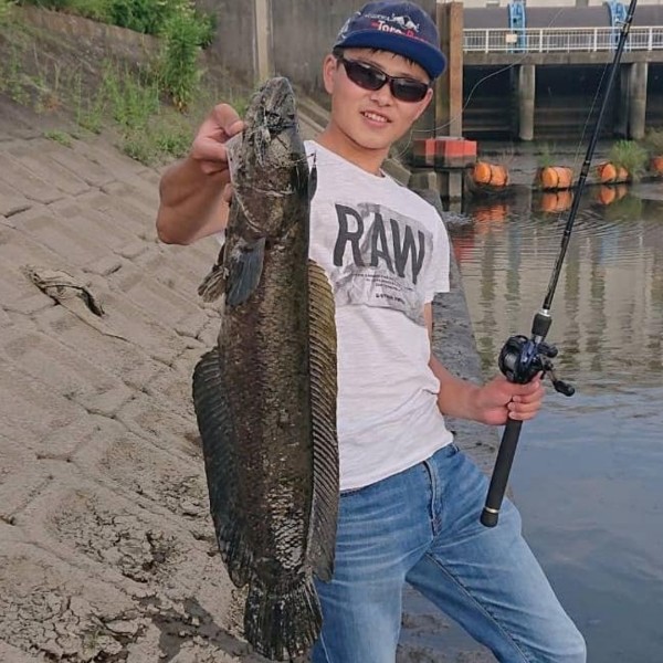 魚は友達､餌にもなる