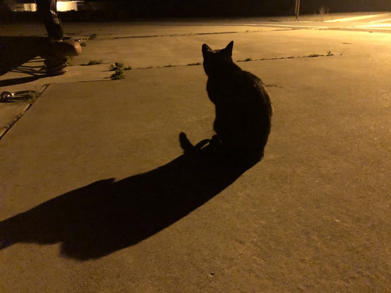 釣れないのが釣り