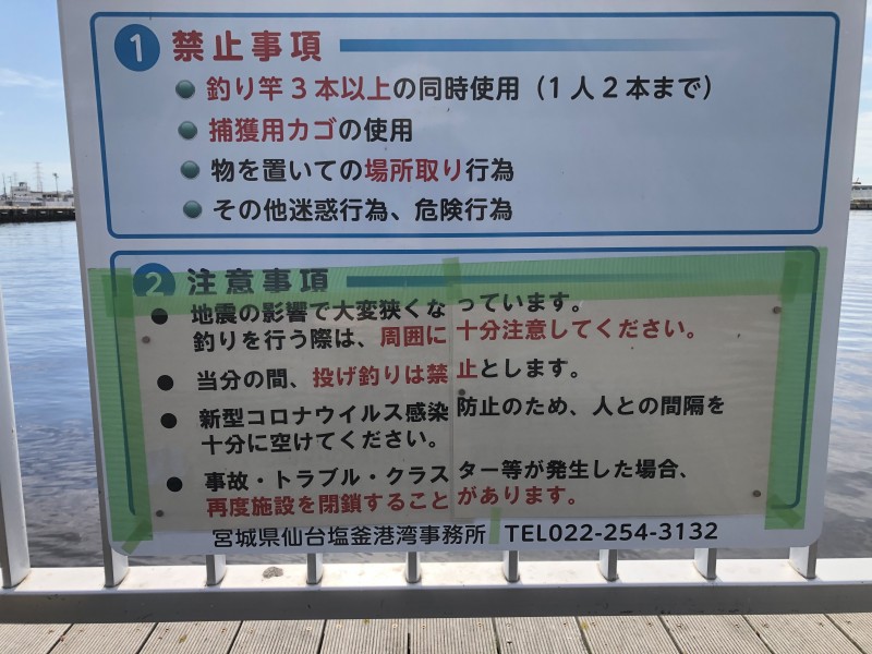 サバ イワシ 21年5月25日の仙台港中央公園 仙台市 の釣果情報 釣りバカ甲子園