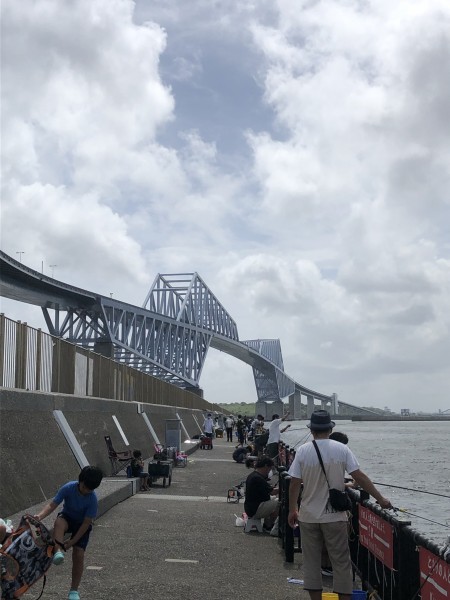 サッパ 22年8月13日の若洲海浜公園海釣り施設 江東区 の釣果情報 釣りバカ甲子園