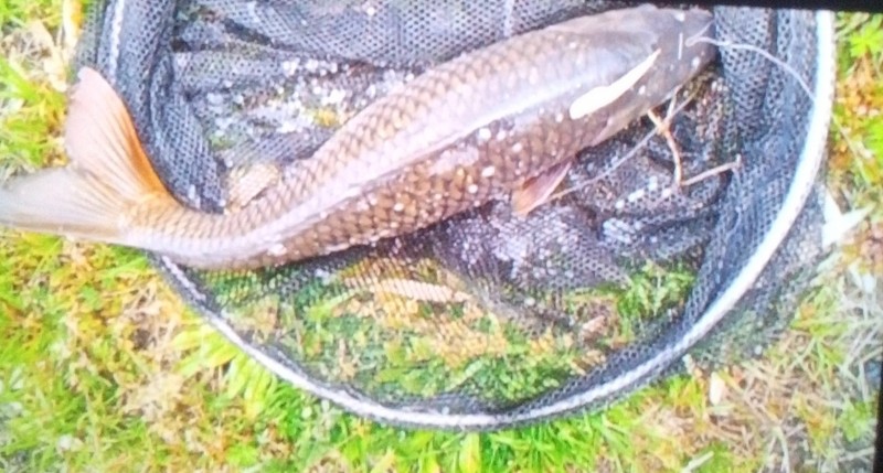 なかなか横になんない