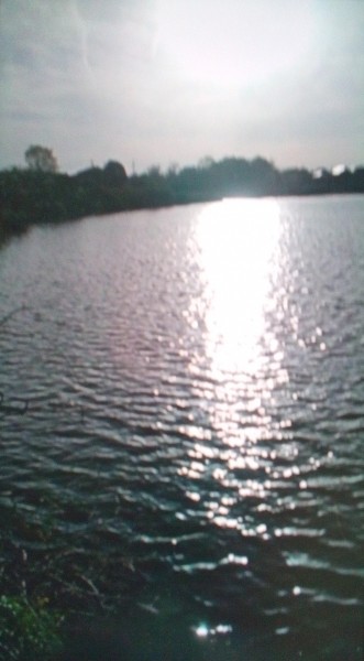 昼間は暑いくらいだったけど  夕方は   正面からの風があり少し寒かった