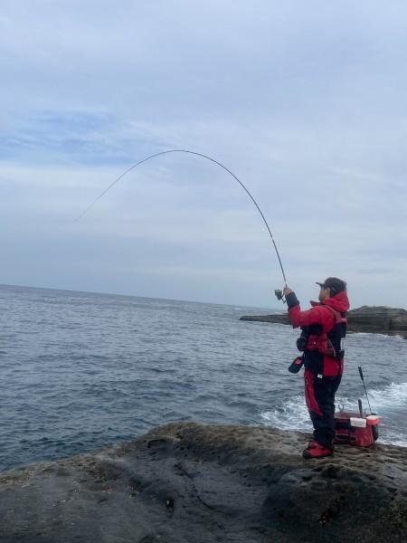 良く引きました