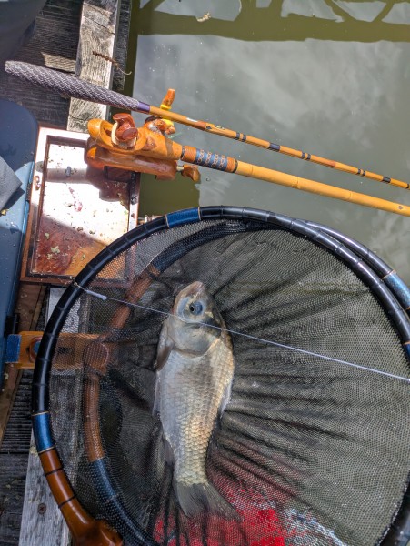 コブセットは比較的、型が良かったです。１５枚でフラシ込み１０Kgオーバー。