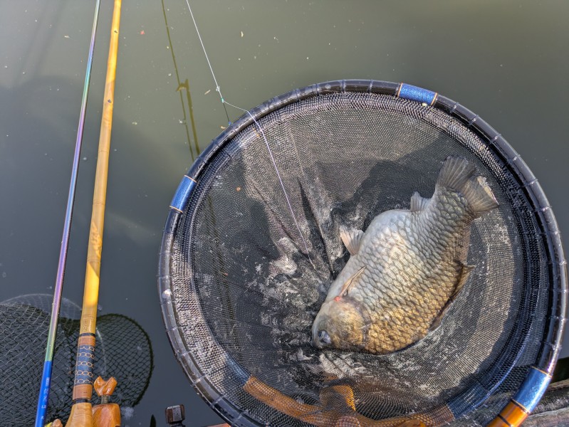 とにかく型揃い、１２枚でフラシ込み１０Kg。