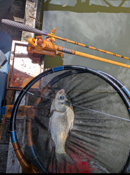 Ｇ杯ひだ池予選　強いのはウドンセット