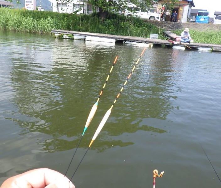 <p>手を変え品を変え、ウキも何回も変えるも釣れませんでした&amp;hellip;<br />思いっきり腕の差を見せつけられ、逆に清々しかった～</p>
<h1 class="skin-entryTitle" style="font-size: 26px; margin: 0px 0px 20px; line-height: 1.4; color: #607374; padding-bottom: 15px; border-bottom: 1px solid #9e9e9e; font-family: -apple-system, BlinkMacSystemFont, sans-serif; background-color: #ffffff;" data-uranus-component="entryTitle"><a class="skinArticleTitle" style="background-color: transparent; text-decoration: none;" href="https://ameblo.jp/knokappa/entry-12964074788.html" rel="bookmark" aria-current="page" data-google-interstitial="false">腕の差まざまざと見せつけられました　in　つつじ池</a></h1>
<p>#プロモーション<br />#マルキュー<br />#ダン</p>