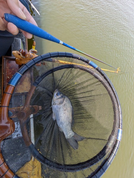 岐阜県 海津市の池または湖 釣果