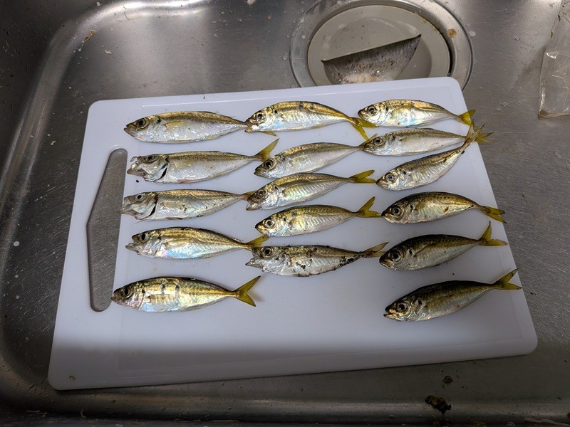 <p>何とか、食材は確保できたので<br />美味しい南蛮漬けにしようと思います！！</p>
<h1 class="skin-entryTitle" style="font-size: 26px; margin: 0px 0px 20px; line-height: 1.4; color: #607374; padding-bottom: 15px; border-bottom: 1px solid #9e9e9e; font-family: -apple-system, BlinkMacSystemFont, sans-serif; background-color: #ffffff;" data-uranus-component="entryTitle"><a class="skinArticleTitle" style="background-color: transparent; text-decoration: none;" href="https://ameblo.jp/knokappa/entry-12973929479.html" rel="bookmark" data-google-interstitial="false" aria-current="page">アジジャンキーな仲間達と&amp;hellip;</a></h1>
<p>#プロモーション<br />#マルキュー<br />#ダン</p>
