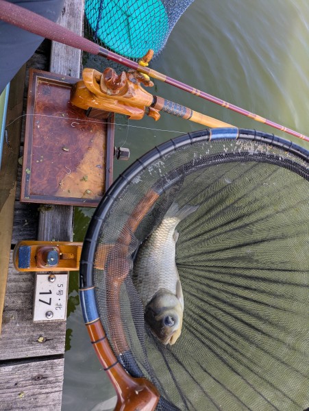 岐阜県 海津市の池または湖 釣果