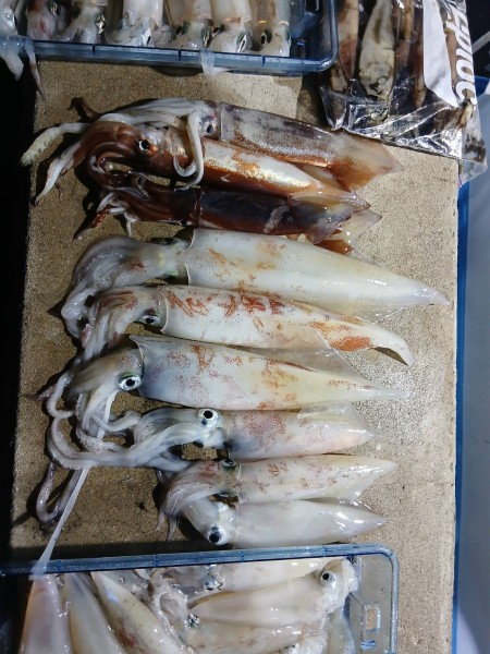 大剣サイズも交じり満足です