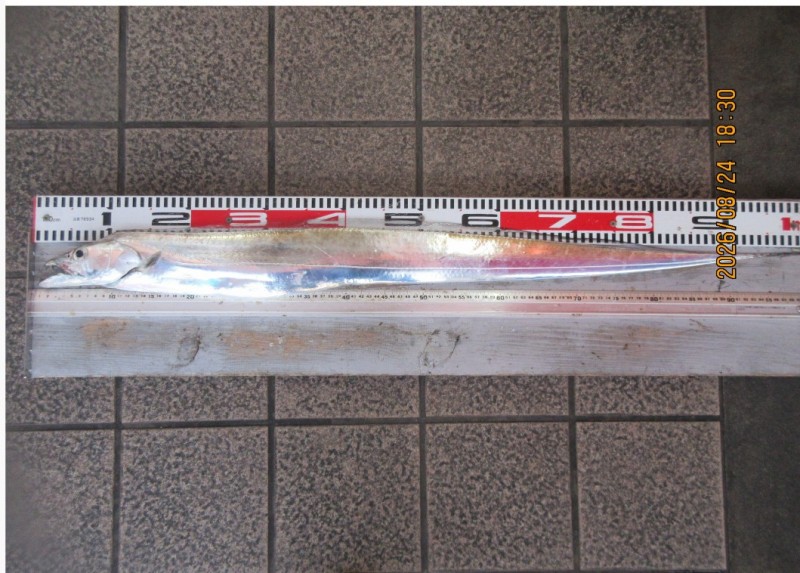 帰りにフィッシングMAXさんで検寸して貰い、101.5cm850gでした✨️
ついでに外の洗い場で内臓処理等をさせていただきました。
MAXさん、ありがとうございましたm(_ _)m