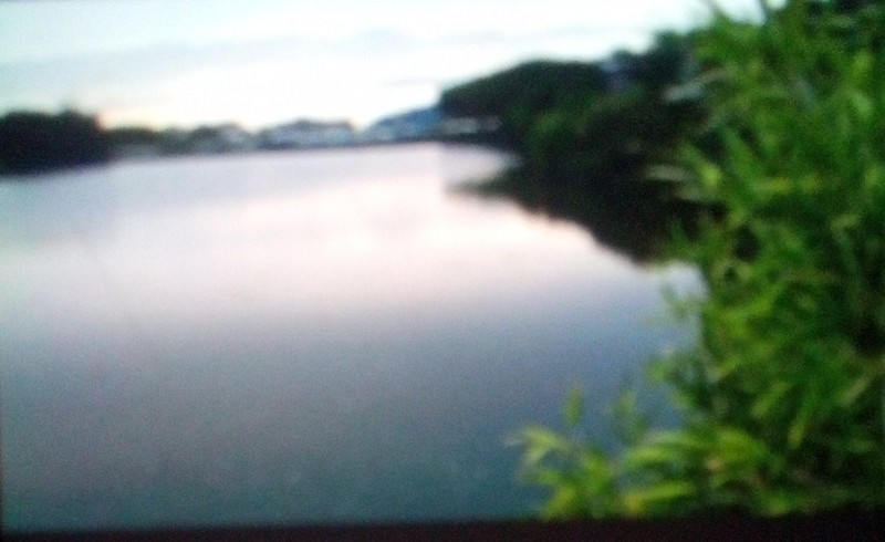 薄曇り    夕方4時すぎ     まあ   針をのけるのが大変でした     場所は違うけど  初めてライギョが釣れた時 泣きそうになりましたから     あの時    軽トラックから覗きに来た     お兄さんに厚かましくも タモ入れお願いしたっけね