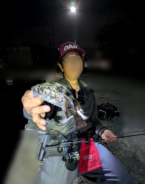 <p>今月いっぱいは釣れると思いますが18cmまで育ってくれるとうれしいけどな～<br />悶絶アジングは、最後クロソイで締めました。（同行者がね）</p>
<h1 class="skin-entryTitle" style="font-size: 26px; margin: 0px 0px 20px; line-height: 1.4; color: #607374; padding-bottom: 15px; border-bottom: 1px solid #9e9e9e; font-family: -apple-system, BlinkMacSystemFont, sans-serif; background-color: #ffffff;" data-uranus-component="entryTitle"><a class="skinArticleTitle" style="background-color: transparent; text-decoration: none;" href="https://ameblo.jp/knokappa/entry-12982112828.html" rel="bookmark" aria-current="page" data-google-interstitial="false">悶絶アジング　de　執念のツ抜け</a></h1>
<p>#プロモーション<br />#マルキュー<br />#ダン</p>