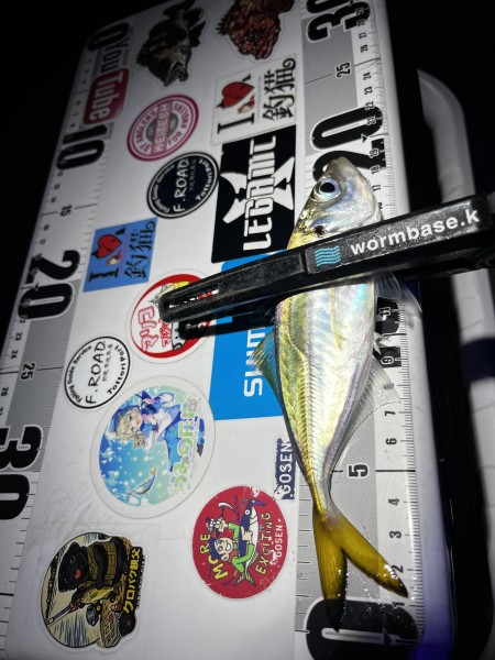 アジはこんなサイズでした。
25センチupのアジが釣りたい。